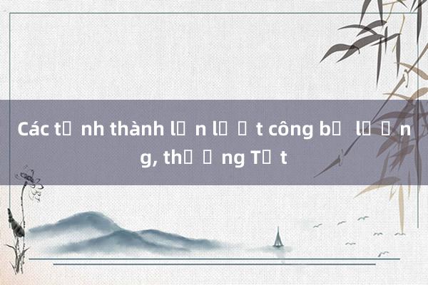 Các tỉnh thành lần lượt công bố lương， thưởng Tết