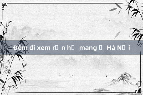 Đêm đi xem rắn hổ mang ở Hà Nội