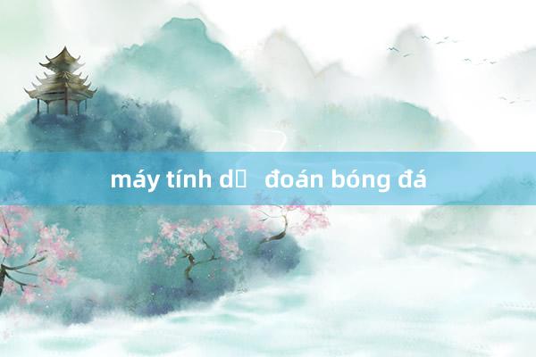 máy tính dự đoán bóng đá