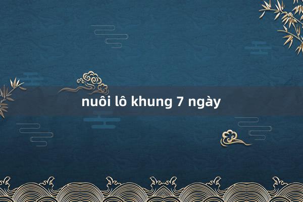 nuôi lô khung 7 ngày