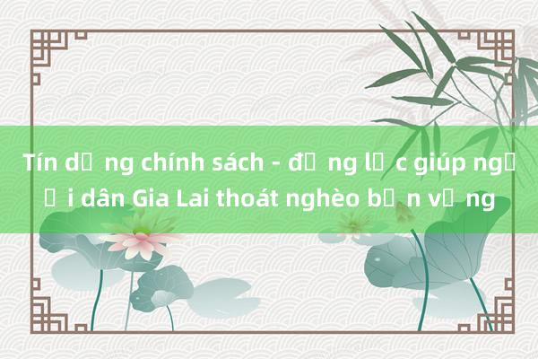 Tín dụng chính sách - động lực giúp người dân Gia Lai thoát nghèo bền vững