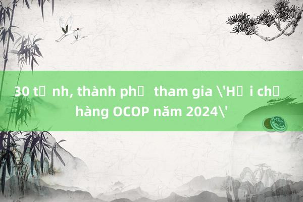 30 tỉnh， thành phố tham gia 'Hội chợ hàng OCOP năm 2024'