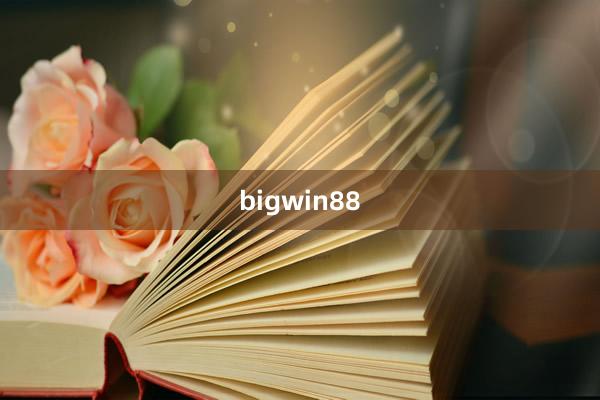 bigwin88