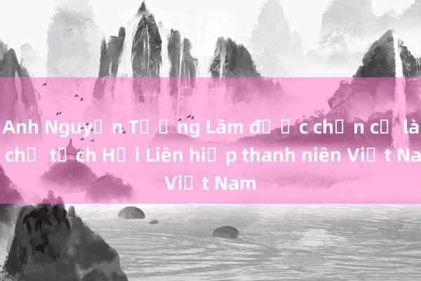 Anh Nguyễn Tường Lâm được chọn cử làm chủ tịch Hội Liên hiệp thanh niên Việt Nam