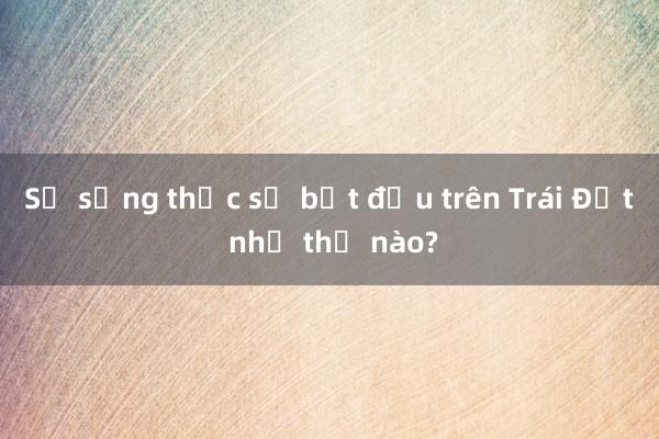 Sự sống thực sự bắt đầu trên Trái Đất như thế nào?