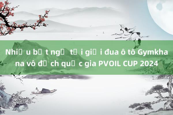 Nhiều bất ngờ tại giải đua ô tô Gymkhana vô địch quốc gia PVOIL CUP 2024