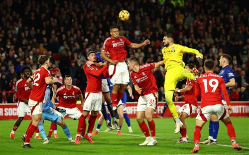 Betking Online Betting: Ultimate Guide